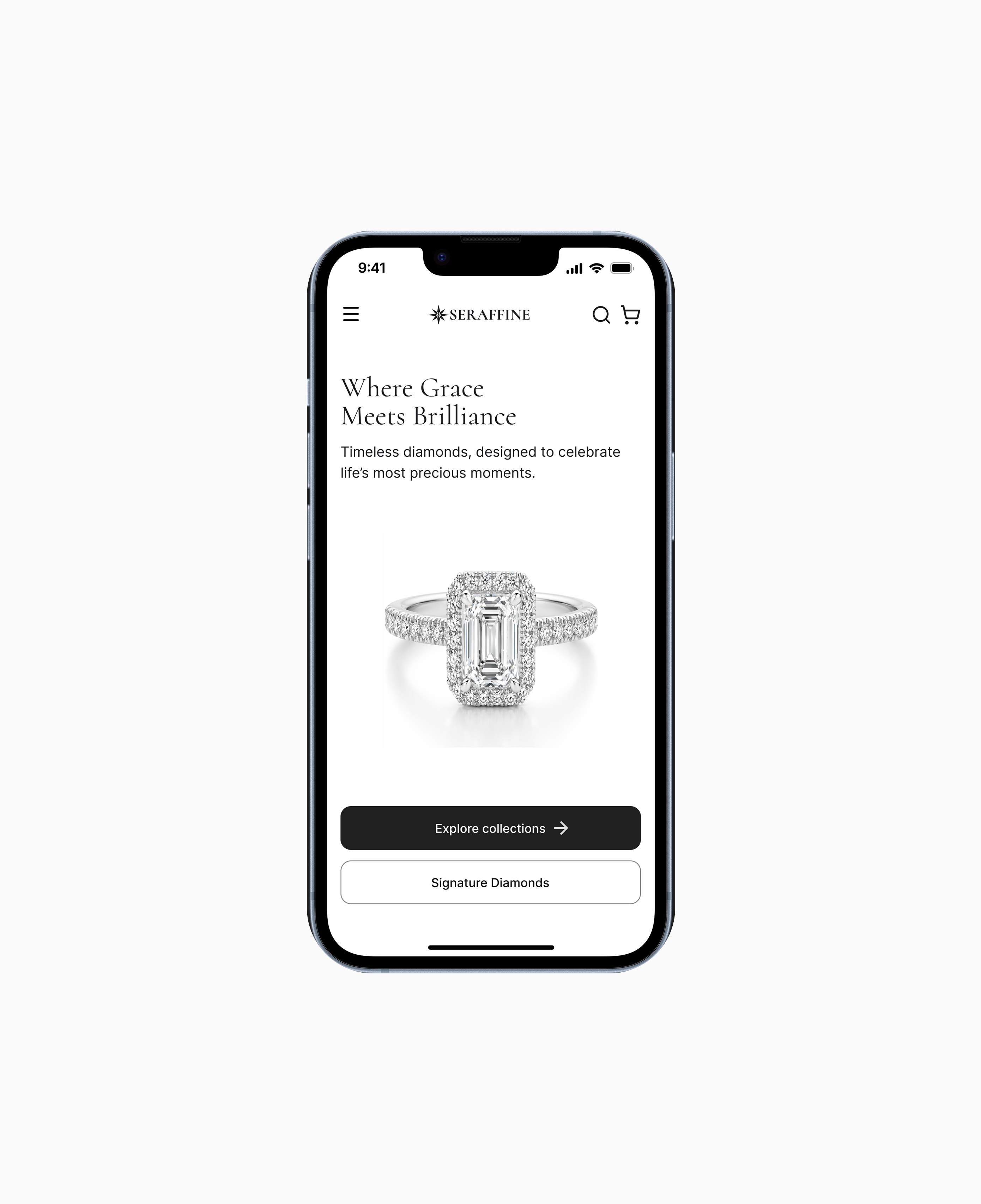 Luxury Jewelry Website Design
